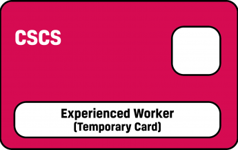 Magenta Experienced Worker Temporary Card